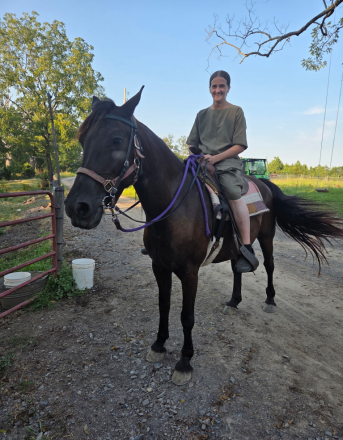 HorseID: 2300726 Midnight - PhotoID: 1082440