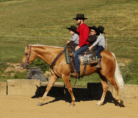 HorseID: 2301279 A Twisted Smart Chic - PhotoID: 1083075