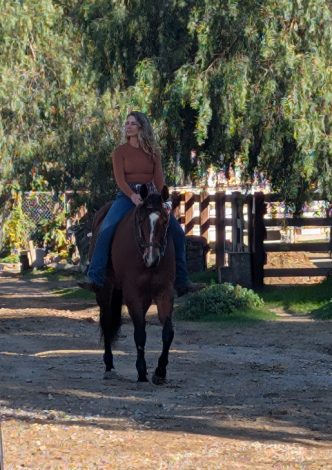 HorseID: 2301407 Shez Always Trouble - PhotoID: 1085526