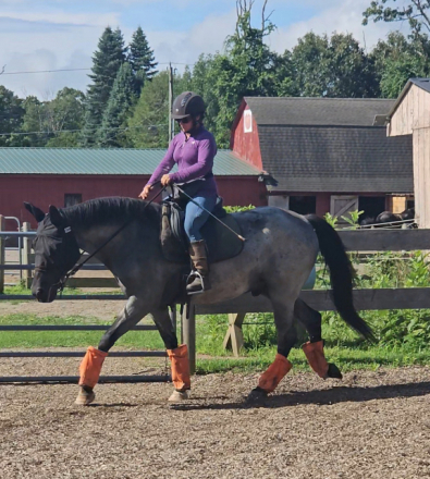 HorseID: 2301499 Ringo Out Of Line - PhotoID: 1083385