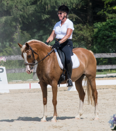 HorseID: 2301501 Gold N Kahlei - PhotoID: 1083519