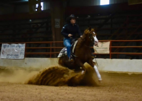 HorseID: 2301568 RDS Coming In Hott - PhotoID: 1083733