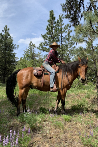 HorseID: 2301582 GUS - PhotoID: 1083540