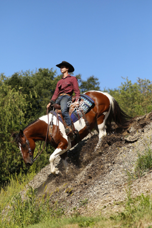 HorseID: 2301588 Buckeyes Dale - PhotoID: 1083493