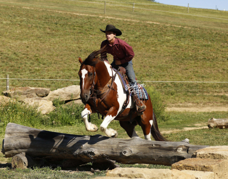 HorseID: 2301588 Buckeyes Dale - PhotoID: 1083494