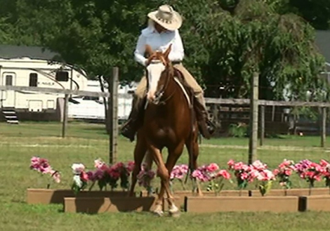 HorseID: 2301620 Smoken Red Badger - PhotoID: 1083530