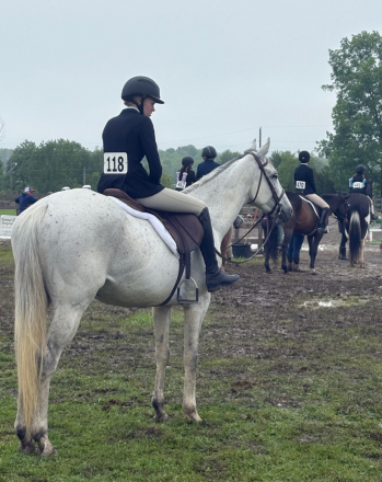 HorseID: 2301630 Electric Drill - PhotoID: 1083553