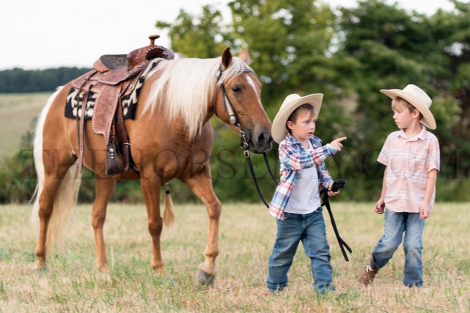 HorseID: 2301645 Madison Taylor - PhotoID: 1083578