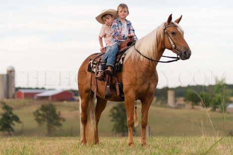 HorseID: 2301645 Madison Taylor - PhotoID: 1083579