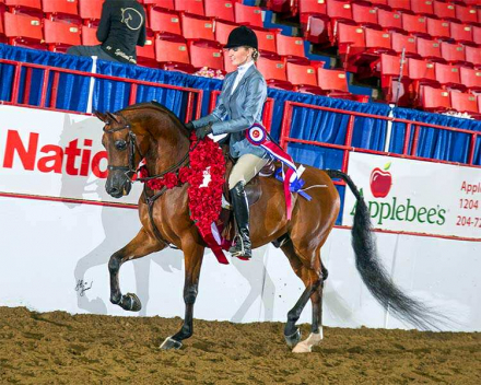 HorseID: 2301649 CSP Tribility - PhotoID: 1083584