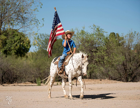 HorseID: 2301653 Dippin’ Dots - PhotoID: 1083591