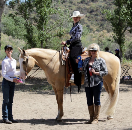 HorseID: 2302051 BLONDE JAMES BLONDE - PhotoID: 1084640