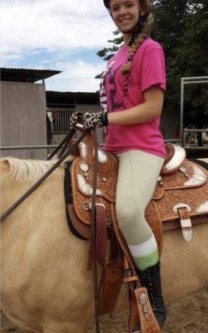 HorseID: 2302051 BLONDE JAMES BLONDE - PhotoID: 1084642