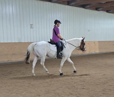 HorseID: 2301680 Versary Blue Bonnet - PhotoID: 1084466