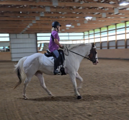 HorseID: 2301680 Versary Blue Bonnet - PhotoID: 1084467