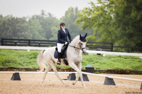 HorseID: 2301717 Phantoms Zeus - PhotoID: 1083648