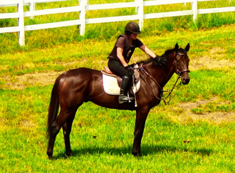 HorseID: 2301719 South Street - PhotoID: 1083650