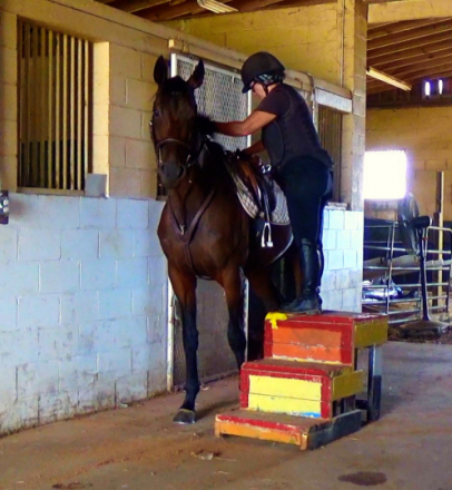 HorseID: 2301719 South Street - PhotoID: 1083652