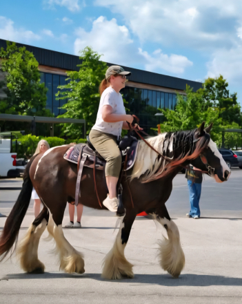 HorseID: 2301728 RBF Call Me Clarence - PhotoID: 1083658