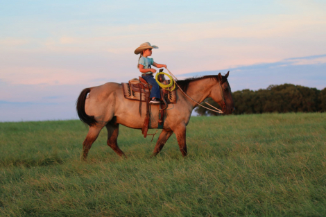 HorseID: 2301733 Smokey TS - PhotoID: 1083780