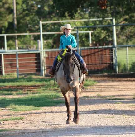 HorseID: 2301733 Smokey TS - PhotoID: 1083781