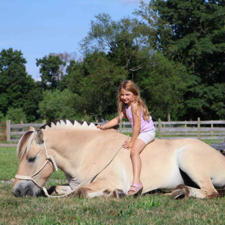 HorseID: 2301736 Buddy ES - PhotoID: 1083759