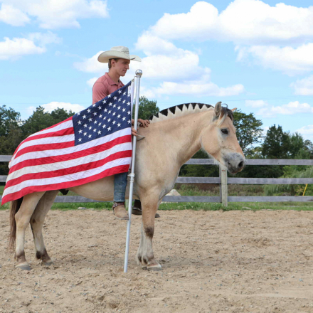 HorseID: 2301736 Buddy ES - PhotoID: 1083760