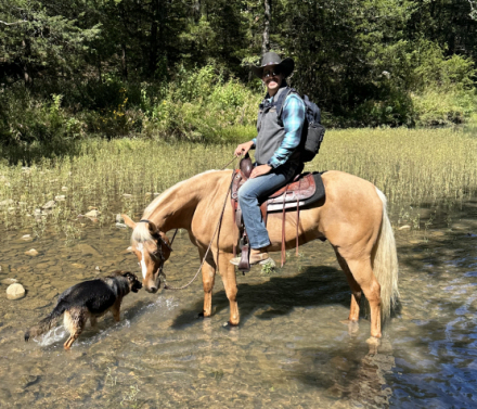 HorseID: 2301737 Romeo - PhotoID: 1084260