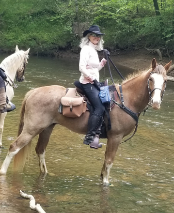 HorseID: 2301751 Echo's Red Rascal MHF - PhotoID: 1084358