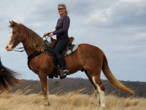 HorseID: 2301751 Echo's Red Rascal MHF - PhotoID: 1084361