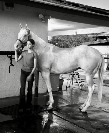 HorseID: 2301757 IMA Creme Sonny Dee - PhotoID: 1083691