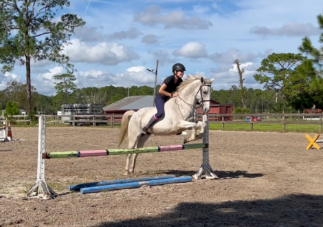 HorseID: 2301762 Flash - PhotoID: 1083698