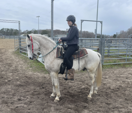 HorseID: 2301762 Flash - PhotoID: 1083701