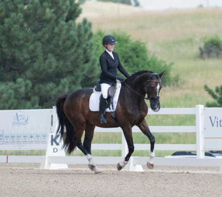 HorseID: 2301765 Wunderschon - PhotoID: 1083709