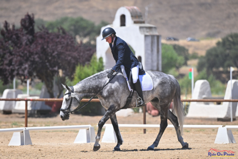 HorseID: 2301774 Lochdown Cruise - PhotoID: 1083715