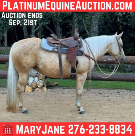 HorseID: 2301797 MSKITTYSGOLDEN ACRES - PhotoID: 1083774