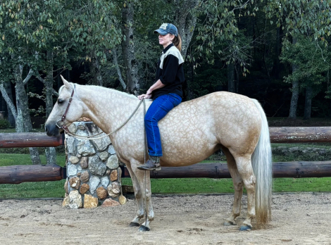 HorseID: 2301797 MSKITTYSGOLDEN ACRES - PhotoID: 1083776