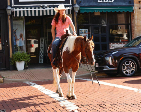 HorseID: 2301798 Catz Quejanaisalena - PhotoID: 1083765