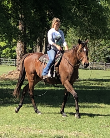 HorseID: 2301807 Crest of Eden - PhotoID: 1083783