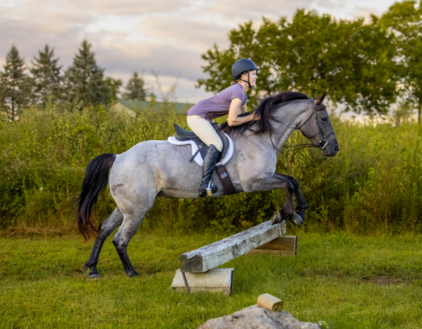 HorseID: 2301840 Luna - PhotoID: 1083854