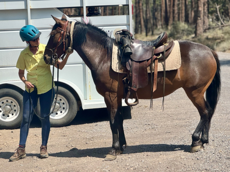 HorseID: 2301848 Leroy - PhotoID: 1083833