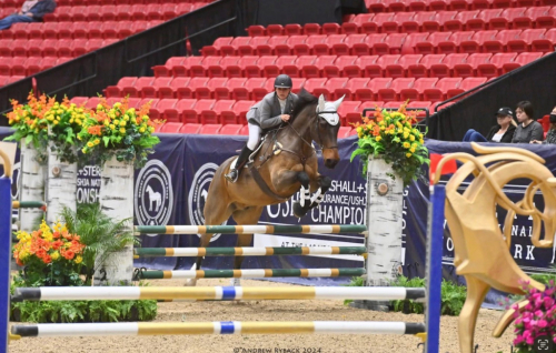 HorseID: 2301859 Barker - PhotoID: 1083844