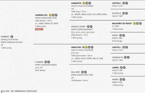 HorseID: 2301862 Narrero - PhotoID: 1083846