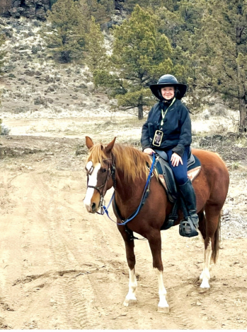 HorseID: 2301907 Misty‘s Strawberry Belle - PhotoID: 1083917