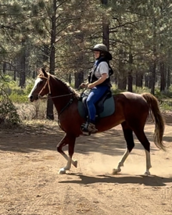 HorseID: 2301907 Misty‘s Strawberry Belle - PhotoID: 1083919