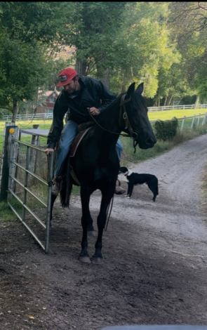 HorseID: 2301910 Charlotte - PhotoID: 1083909