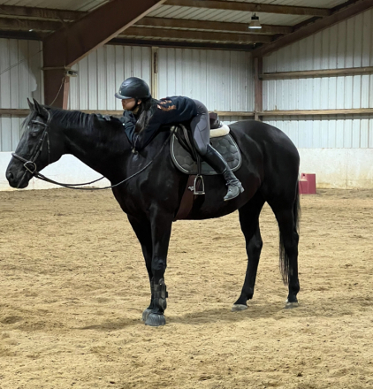 HorseID: 2301914 Next On The Deck - PhotoID: 1083922