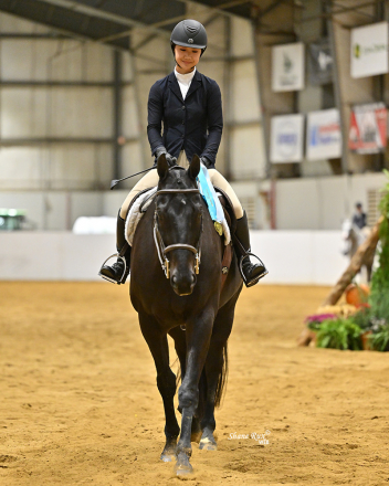 HorseID: 2301914 Next On The Deck - PhotoID: 1083920