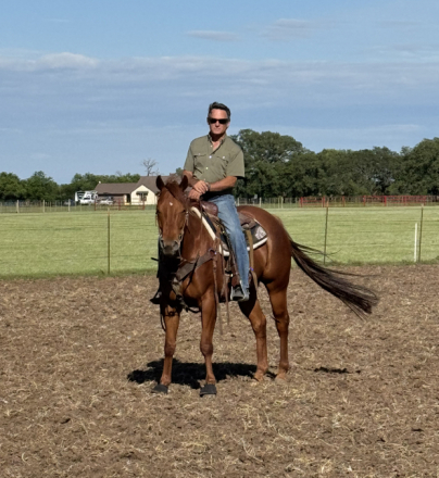 HorseID: 2301923 Sundae Brunch - PhotoID: 1083928