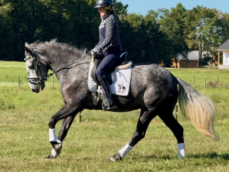 HorseID: 2301932 Tra La La - PhotoID: 1083946